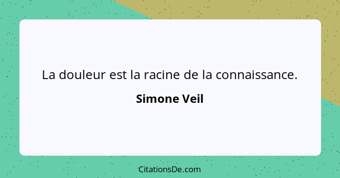 Simone Veil La Douleur Est La Racine De La Connaissance