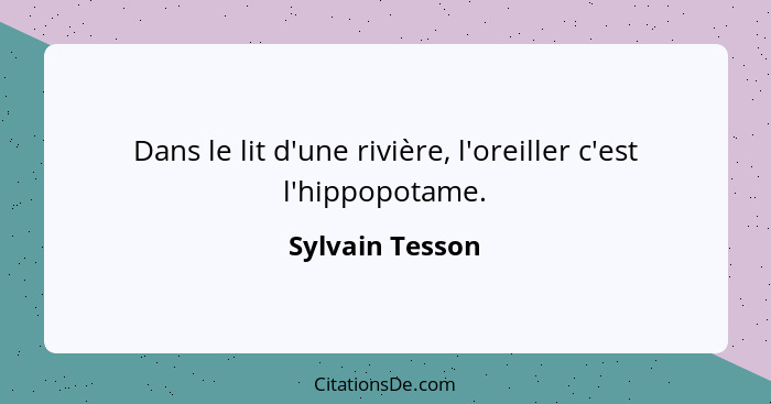 Dans le lit d'une rivière, l'oreiller c'est l'hippopotame.... - Sylvain Tesson