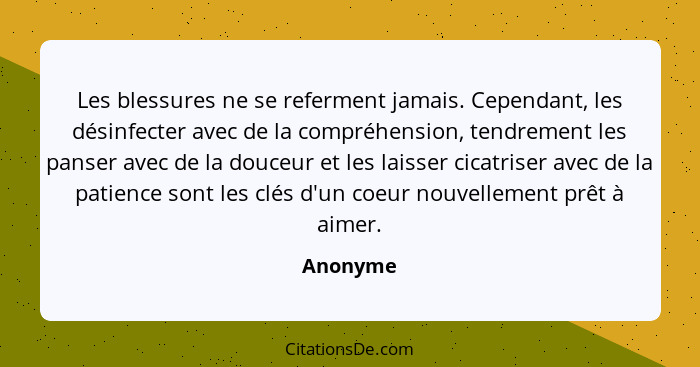 Les blessures ne se referment jamais. Cependant, les désinfecter avec de la compréhension, tendrement les panser avec de la douceur et les l... - Anonyme