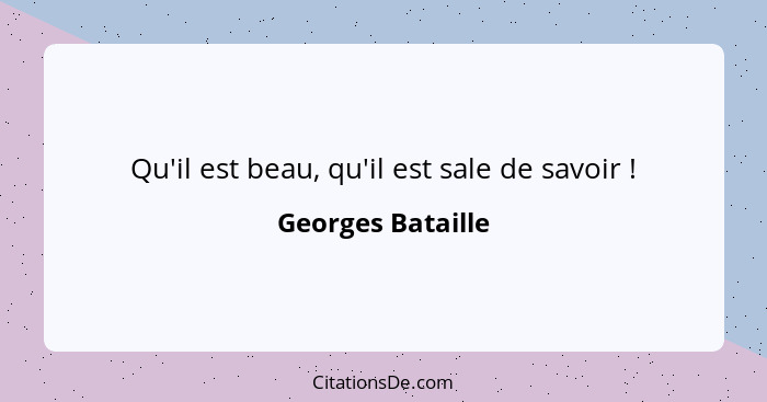 Qu'il est beau, qu'il est sale de savoir !... - Georges Bataille