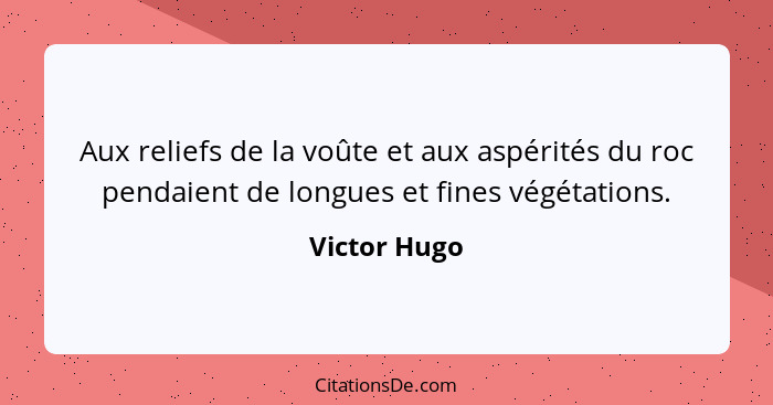 Aux reliefs de la voûte et aux aspérités du roc pendaient de longues et fines végétations.... - Victor Hugo