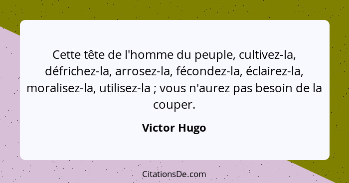 Cette tête de l'homme du peuple, cultivez-la, défrichez-la, arrosez-la, fécondez-la, éclairez-la, moralisez-la, utilisez-la ; vous... - Victor Hugo