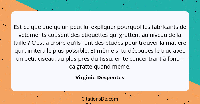 Est-ce que quelqu'un peut lui expliquer pourquoi les fabricants de vêtements cousent des étiquettes qui grattent au niveau de la... - Virginie Despentes