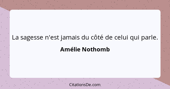 La sagesse n'est jamais du côté de celui qui parle.... - Amélie Nothomb