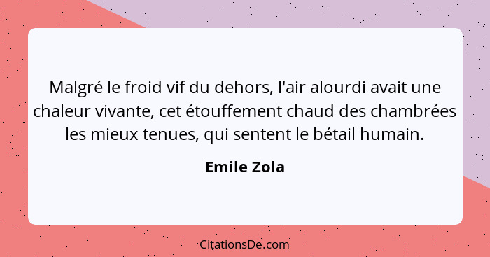 Malgré le froid vif du dehors, l'air alourdi avait une chaleur vivante, cet étouffement chaud des chambrées les mieux tenues, qui sentent... - Emile Zola