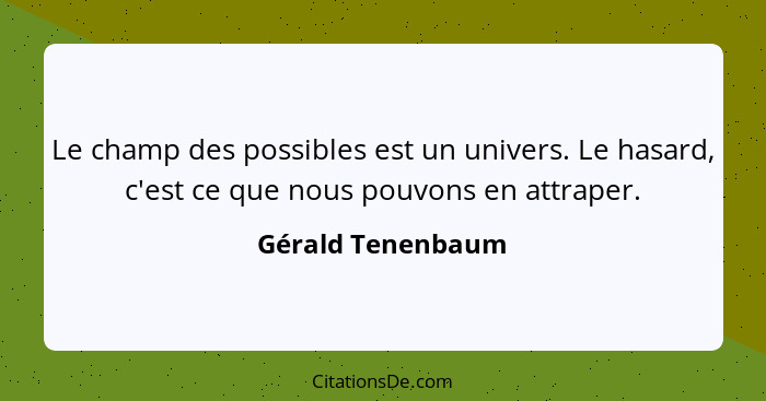 Le champ des possibles est un univers. Le hasard, c'est ce que nous pouvons en attraper.... - Gérald Tenenbaum