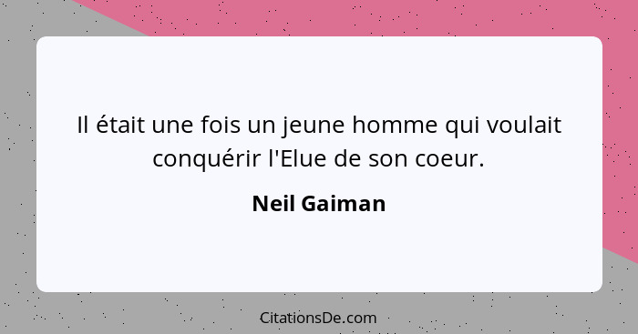 Il était une fois un jeune homme qui voulait conquérir l'Elue de son coeur.... - Neil Gaiman