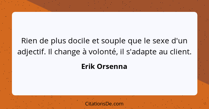 Rien de plus docile et souple que le sexe d'un adjectif. Il change à volonté, il s'adapte au client.... - Erik Orsenna