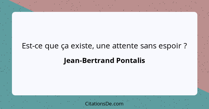 Est-ce que ça existe, une attente sans espoir ?... - Jean-Bertrand Pontalis