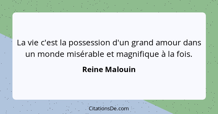 La vie c'est la possession d'un grand amour dans un monde misérable et magnifique à la fois.... - Reine Malouin