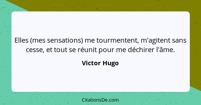 Elles (mes sensations) me tourmentent, m'agitent sans cesse, et tout se réunit pour me déchirer l'âme.... - Victor Hugo