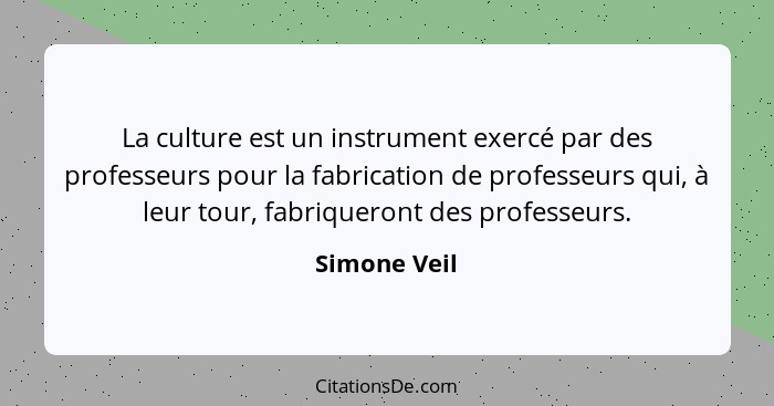 La culture est un instrument exercé par des professeurs pour la fabrication de professeurs qui, à leur tour, fabriqueront des professeur... - Simone Veil