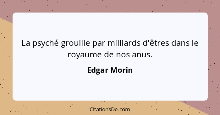 La psyché grouille par milliards d'êtres dans le royaume de nos anus.... - Edgar Morin