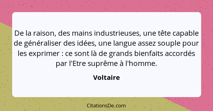 De la raison, des mains industrieuses, une tête capable de généraliser des idées, une langue assez souple pour les exprimer : ce sont... - Voltaire