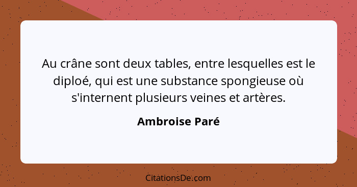 Au crâne sont deux tables, entre lesquelles est le diploé, qui est une substance spongieuse où s'internent plusieurs veines et artères... - Ambroise Paré