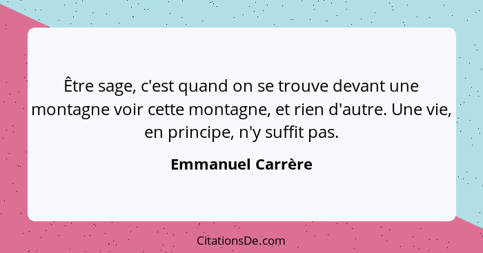 Être sage, c'est quand on se trouve devant une montagne voir cette montagne, et rien d'autre. Une vie, en principe, n'y suffit pas.... - Emmanuel Carrère