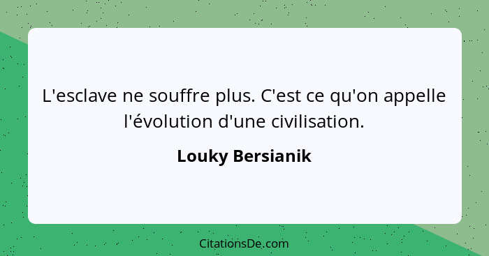 L'esclave ne souffre plus. C'est ce qu'on appelle l'évolution d'une civilisation.... - Louky Bersianik