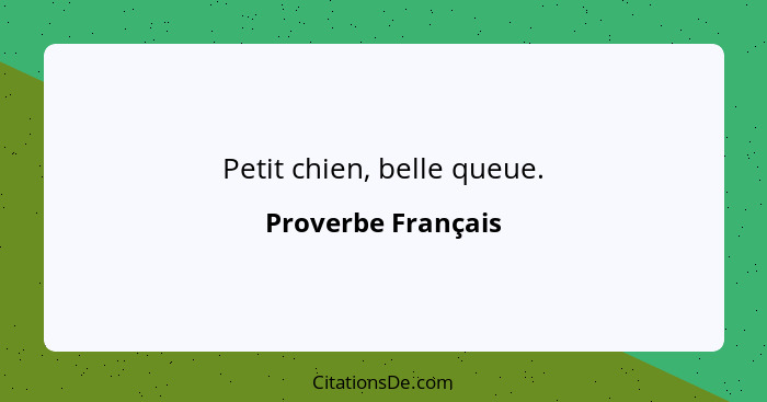 Petit chien, belle queue.... - Proverbe Français