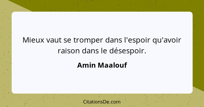 Mieux vaut se tromper dans l'espoir qu'avoir raison dans le désespoir.... - Amin Maalouf