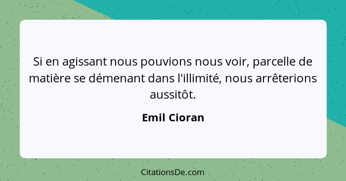 Si en agissant nous pouvions nous voir, parcelle de matière se démenant dans l'illimité, nous arrêterions aussitôt.... - Emil Cioran