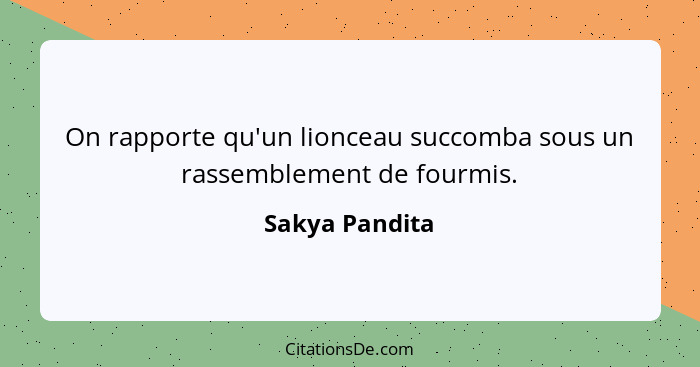 On rapporte qu'un lionceau succomba sous un rassemblement de fourmis.... - Sakya Pandita