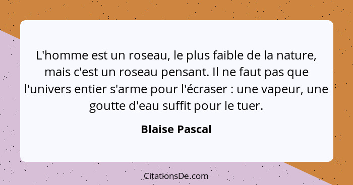 L'homme est un roseau, le plus faible de la nature, mais c'est un roseau pensant. Il ne faut pas que l'univers entier s'arme pour l'éc... - Blaise Pascal