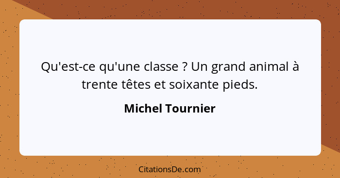 Qu'est-ce qu'une classe ? Un grand animal à trente têtes et soixante pieds.... - Michel Tournier