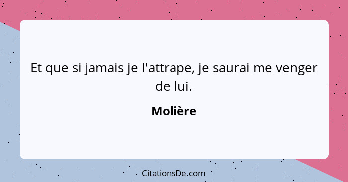 Et que si jamais je l'attrape, je saurai me venger de lui.... - Molière