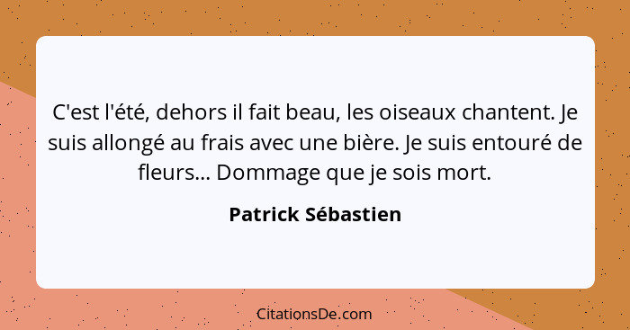 C'est l'été, dehors il fait beau, les oiseaux chantent. Je suis allongé au frais avec une bière. Je suis entouré de fleurs... Domm... - Patrick Sébastien