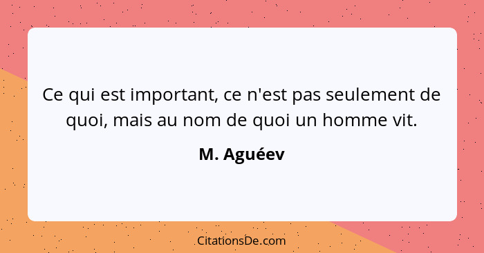 Ce qui est important, ce n'est pas seulement de quoi, mais au nom de quoi un homme vit.... - M. Aguéev