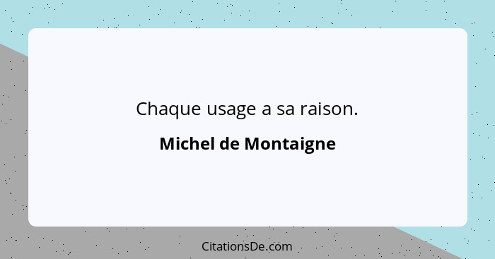 Chaque usage a sa raison.... - Michel de Montaigne