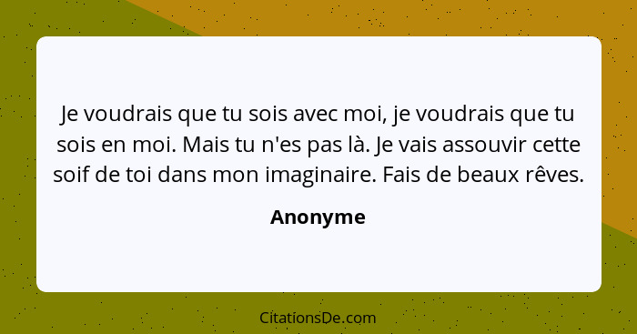 Je voudrais que tu sois avec moi, je voudrais que tu sois en moi. Mais tu n'es pas là. Je vais assouvir cette soif de toi dans mon imaginair... - Anonyme