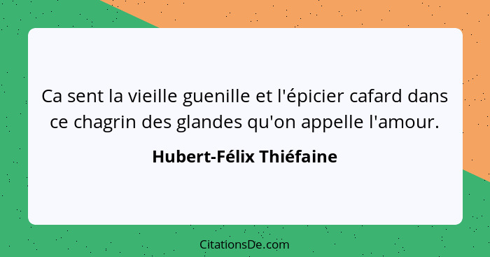 Ca sent la vieille guenille et l'épicier cafard dans ce chagrin des glandes qu'on appelle l'amour.... - Hubert-Félix Thiéfaine