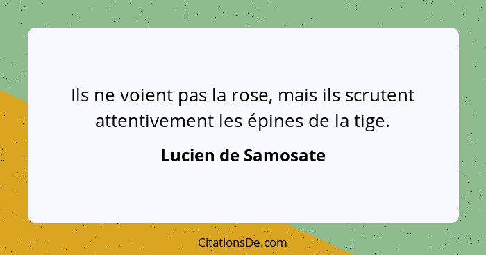 Ils ne voient pas la rose, mais ils scrutent attentivement les épines de la tige.... - Lucien de Samosate