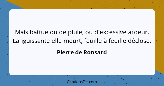 Mais battue ou de pluie, ou d'excessive ardeur, Languissante elle meurt, feuille à feuille déclose.... - Pierre de Ronsard