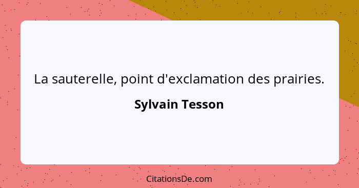La sauterelle, point d'exclamation des prairies.... - Sylvain Tesson