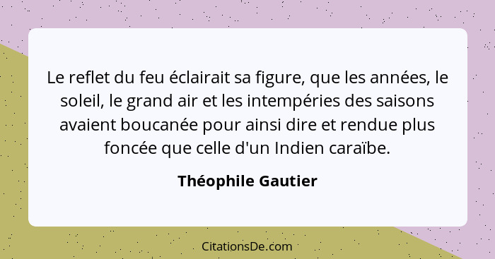 Le reflet du feu éclairait sa figure, que les années, le soleil, le grand air et les intempéries des saisons avaient boucanée pour... - Théophile Gautier