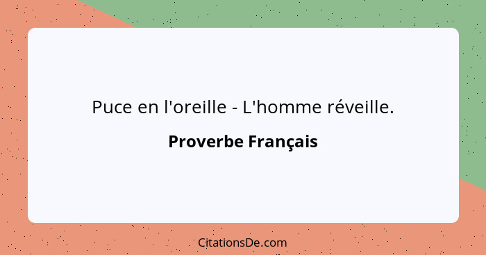 Puce en l'oreille - L'homme réveille.... - Proverbe Français