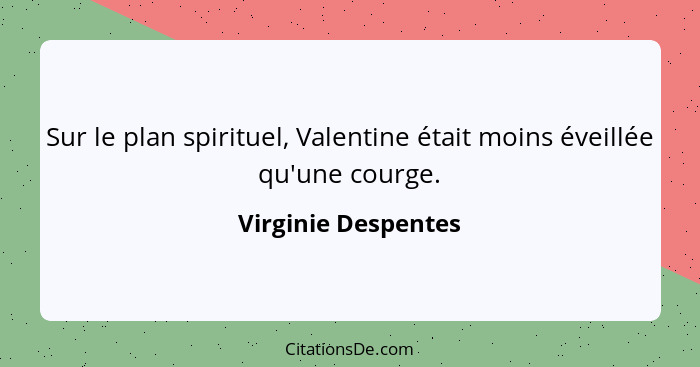 Sur le plan spirituel, Valentine était moins éveillée qu'une courge.... - Virginie Despentes