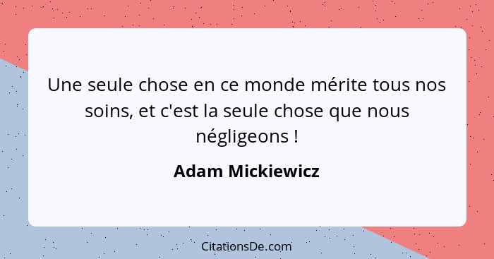 Une seule chose en ce monde mérite tous nos soins, et c'est la seule chose que nous négligeons !... - Adam Mickiewicz