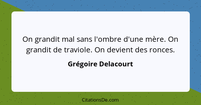 On grandit mal sans l'ombre d'une mère. On grandit de traviole. On devient des ronces.... - Grégoire Delacourt