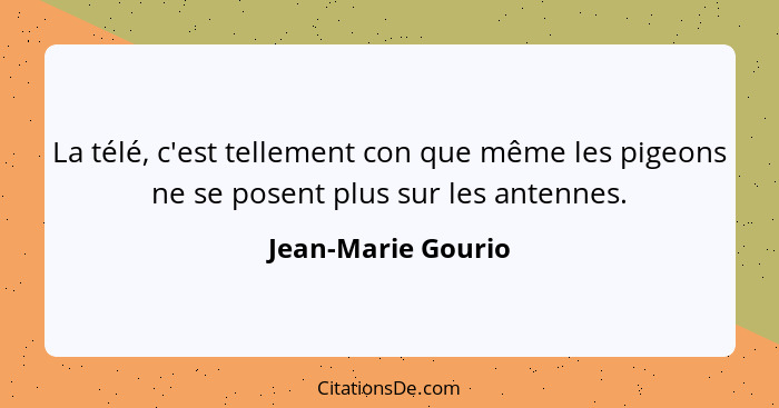 La télé, c'est tellement con que même les pigeons ne se posent plus sur les antennes.... - Jean-Marie Gourio