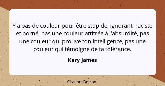 Y a pas de couleur pour être stupide, ignorant, raciste et borné, pas une couleur attitrée à l'absurdité, pas une couleur qui prouve ton... - Kery James