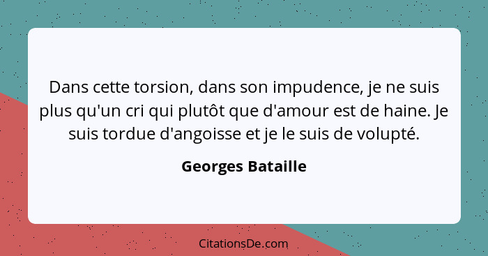 Dans cette torsion, dans son impudence, je ne suis plus qu'un cri qui plutôt que d'amour est de haine. Je suis tordue d'angoisse et... - Georges Bataille