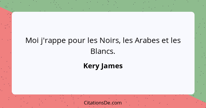 Moi j'rappe pour les Noirs, les Arabes et les Blancs.... - Kery James