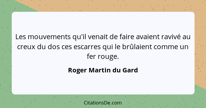 Les mouvements qu'il venait de faire avaient ravivé au creux du dos ces escarres qui le brûlaient comme un fer rouge.... - Roger Martin du Gard