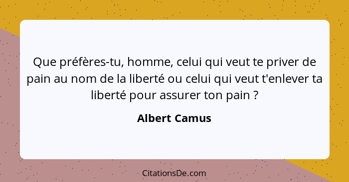 Que préfères-tu, homme, celui qui veut te priver de pain au nom de la liberté ou celui qui veut t'enlever ta liberté pour assurer ton p... - Albert Camus