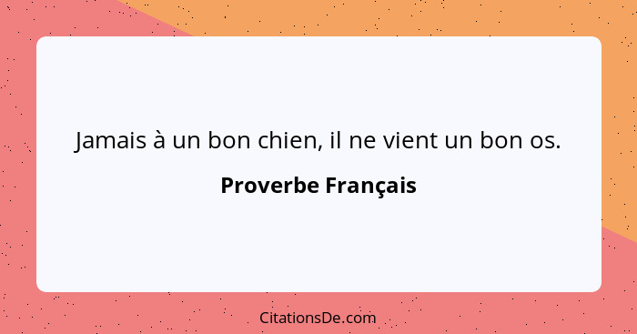 Jamais à un bon chien, il ne vient un bon os.... - Proverbe Français