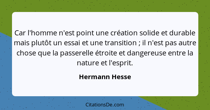 Car l'homme n'est point une création solide et durable mais plutôt un essai et une transition ; il n'est pas autre chose que la p... - Hermann Hesse