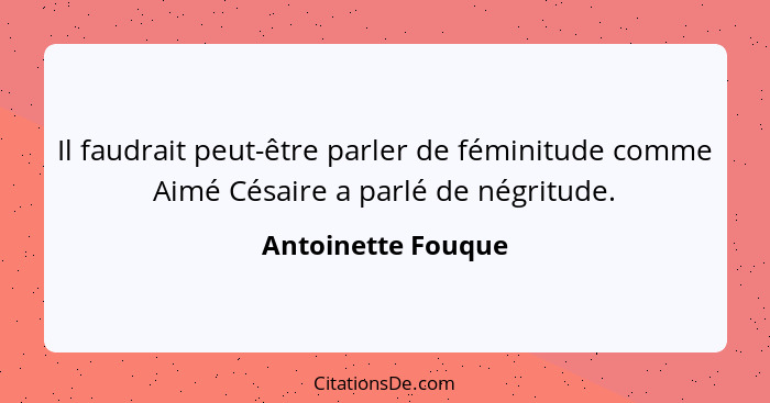 Il faudrait peut-être parler de féminitude comme Aimé Césaire a parlé de négritude.... - Antoinette Fouque